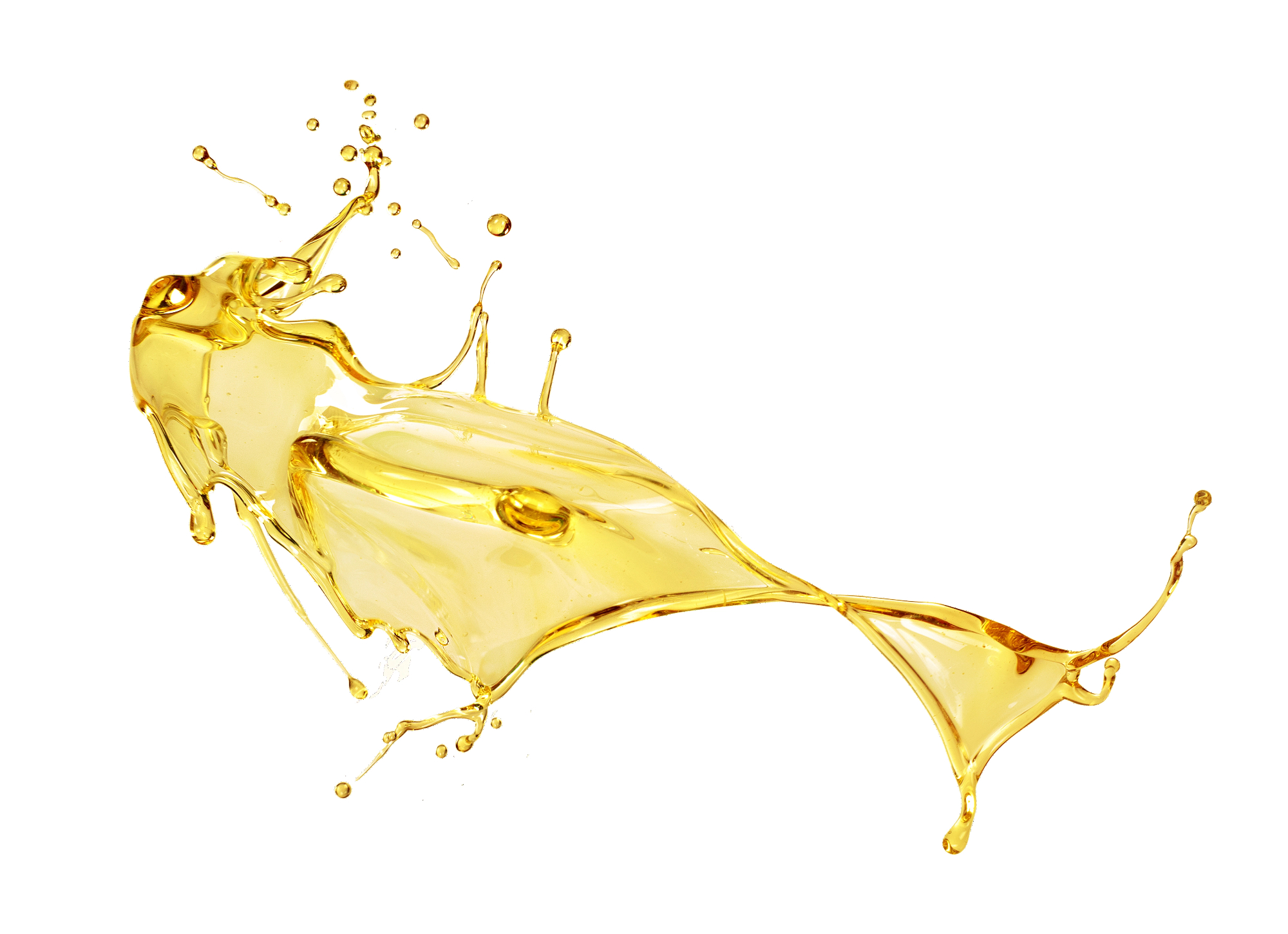 Zakaj je oljarna Lisjak tako znano ime v Istri?